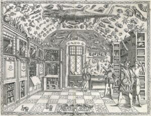 the Wunderkammer of Curiosity Cabinet