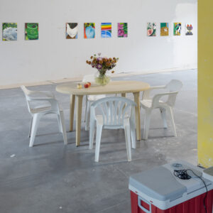 Daniëlle Hoogendoorn - installation view 'Schilderijen'