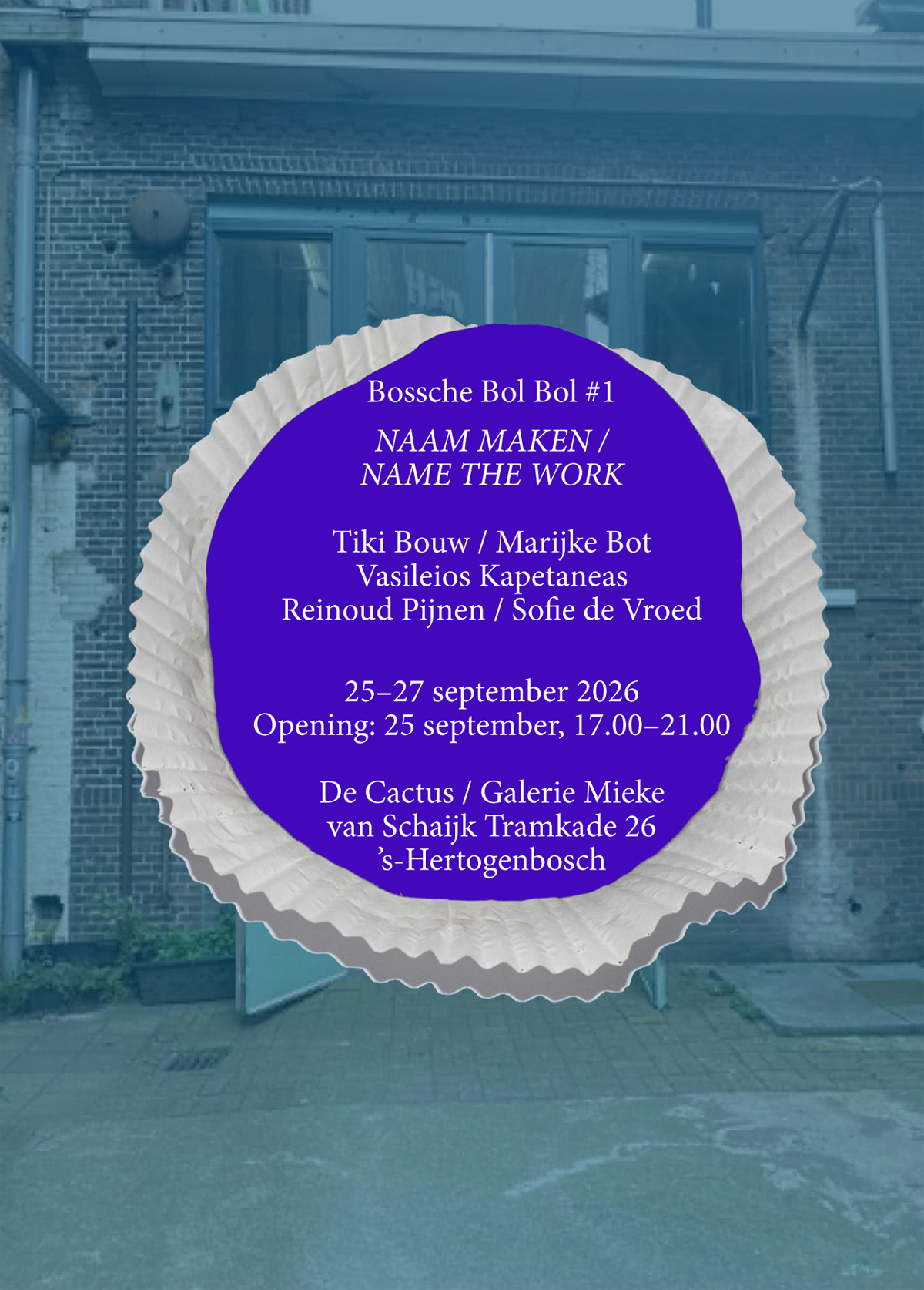 De Cactus , Galerie Mieke van Schaijk, 's-Hertogensbosch